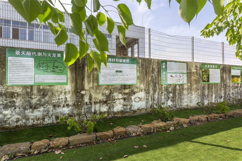 公司大門口外墻研學展示區2.jpg