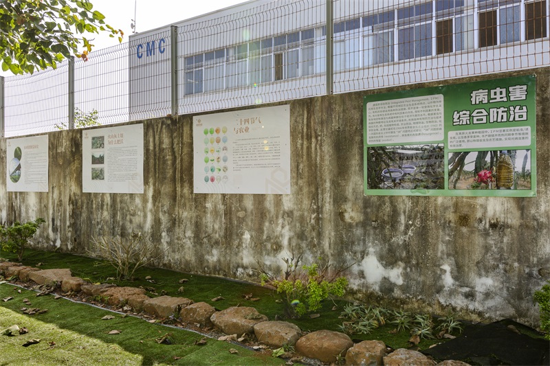 公司大門口外墻研學展示區3.jpg