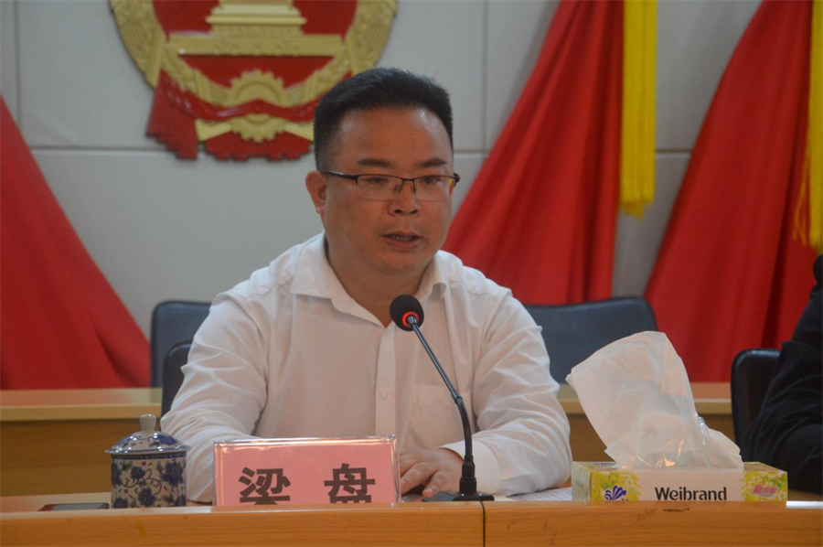 （縣交通運輸局局長、鎮黨委書記梁盤同志作強調講話）.png