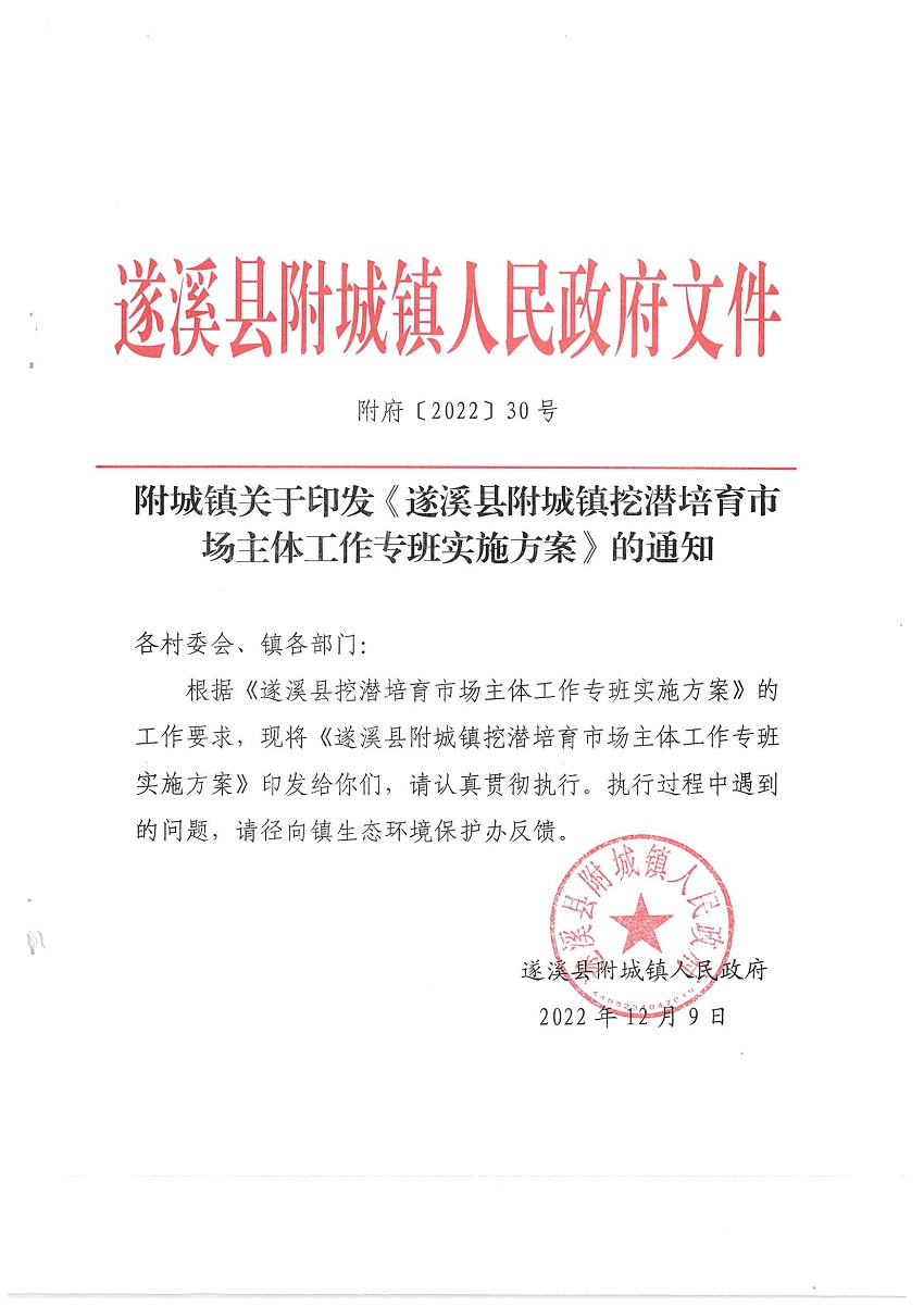 附城鎮(zhèn)關(guān)于印發(fā)《遂溪縣附城鎮(zhèn)挖潛培育市場(chǎng)主體工作專班實(shí)施方案》的通知_頁(yè)面_1_圖像_0001.jpg