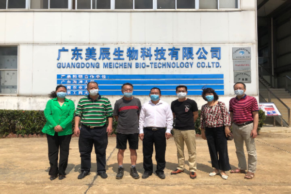 王永龍一行到廣東美辰生物科技有限公司調研.png