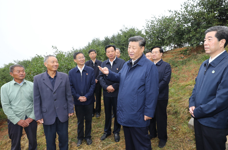 　　9月16日至18日，中共中央總書(shū)記、國(guó)家主席、中央軍委主席習(xí)近平在河南考察。這是17日上午，習(xí)近平來(lái)到信陽(yáng)市光山縣槐店鄉(xiāng)司馬光油茶園，同正在勞作的村民和管理人員交流。 新華社記者 鞠鵬 攝