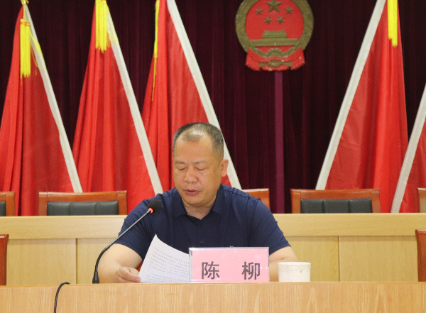 建新鎮黨委書記陳柳講話.JPG