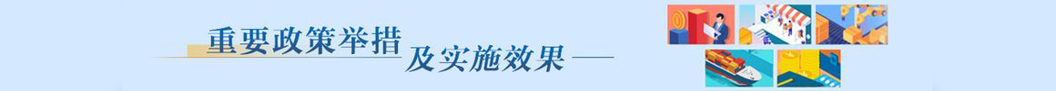 重要政策舉措及實施效果