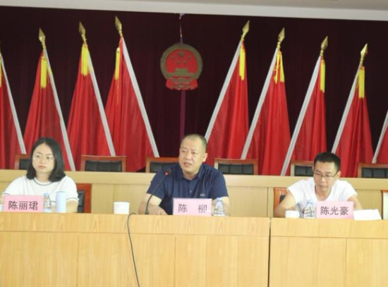 建新鎮黨委書記陳柳講話.jpg