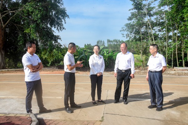湛江市人大常委會黨組副書記、副主任陳云率隊到遂溪縣建新鎮車路頭村開展典型村創建調研工作