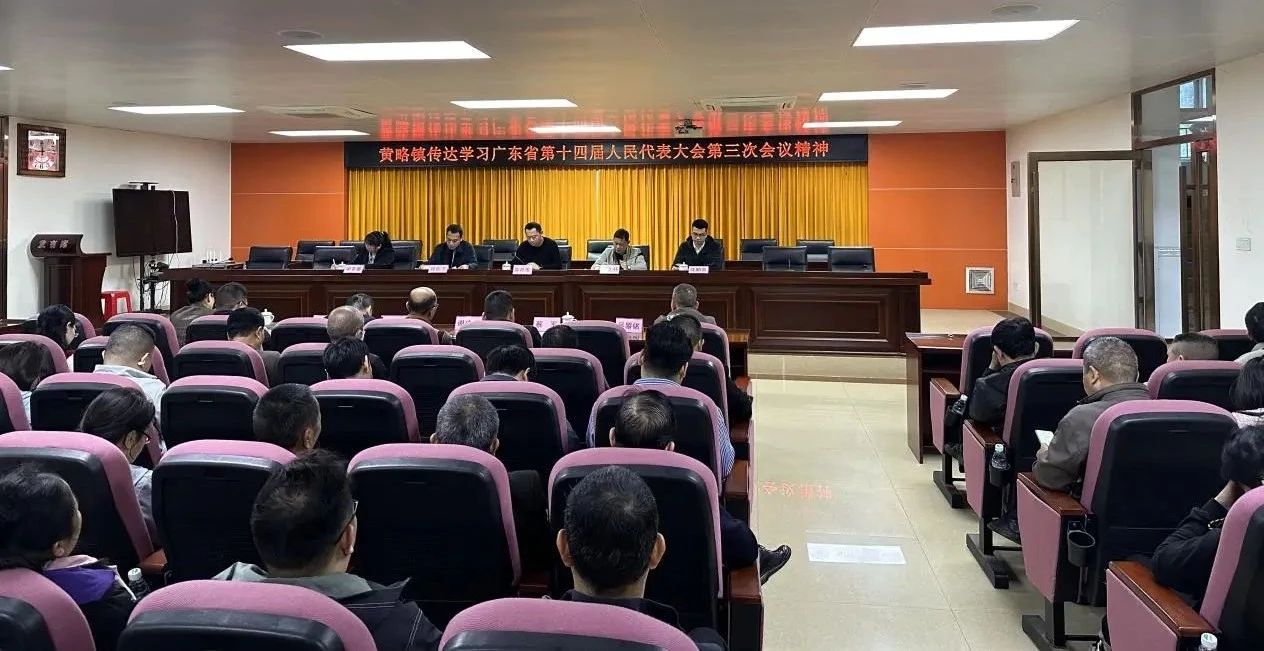 黃略鎮人大：傳達學習廣東省第十四屆人民代表大會第三次會議精神