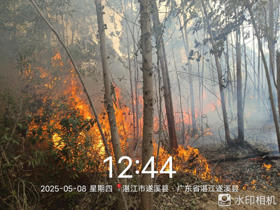 圖片5.png