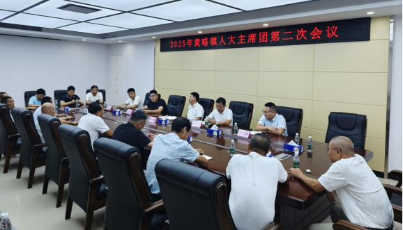 黃略鎮(zhèn)人大主席團(tuán)第二次會議召開